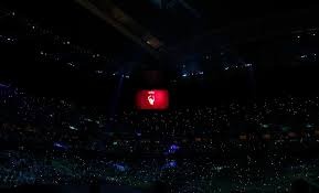 百家乐新手为什么老不服（为何百家乐新手总是不服气）