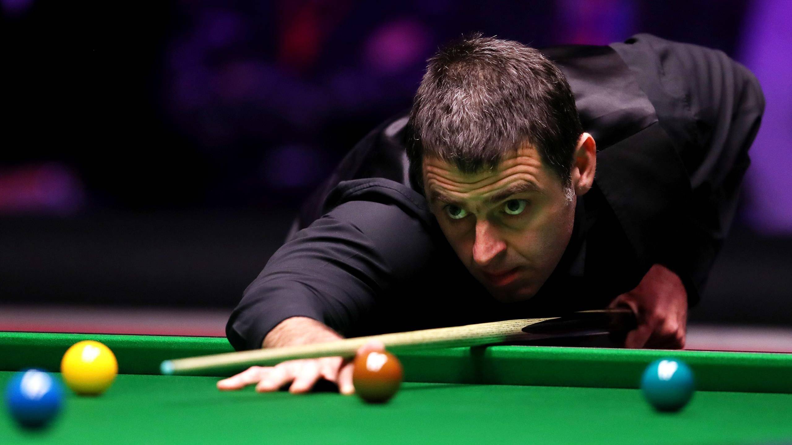 全力以赴 全力以赴